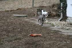 IMG_7621