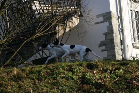 img_1720.jpg