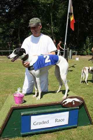 click for pedigree of Lynn Camolin